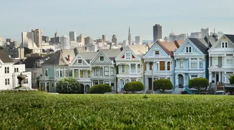 Painted Ladies Stock Footage 20939296