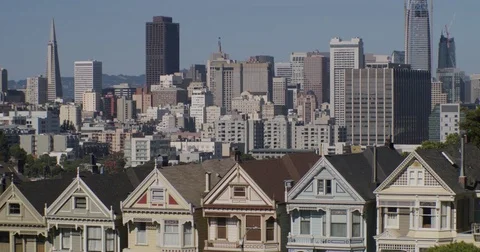 Painted Ladies 動画素材 76783695