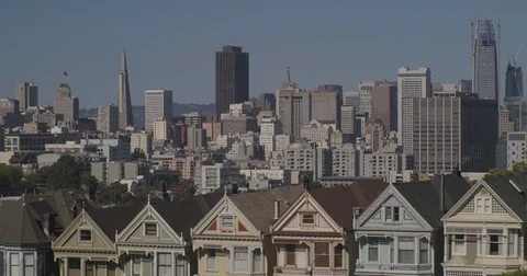 Painted Ladies Still 動画素材 76809930