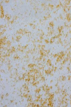 Painted light rusty metal surface with peeling paint. Stock Photos