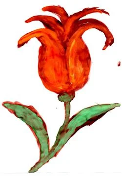Painted Orange Tulip Stock Illustration