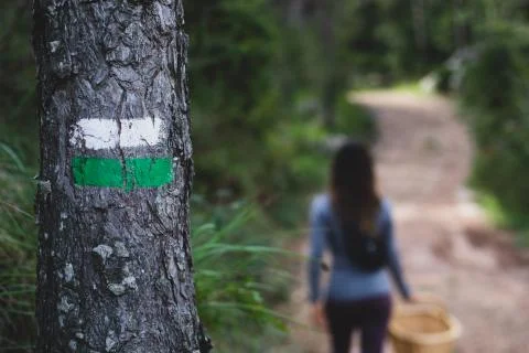 Painted path mark on a tree with blurred woman hiker on background mushroom h Stock Photos