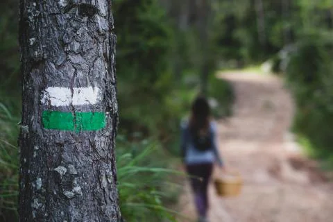 Painted path mark on a tree with blurred woman hiker on background mushroom h Stock Photos