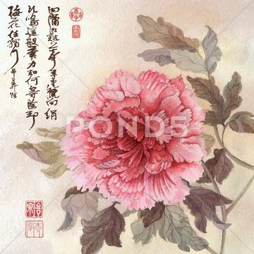 Painted pink peony on beige background with chinese calligraphy near by Stock Illustration