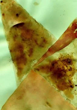 Painted Polygonal Background Stock Illustration