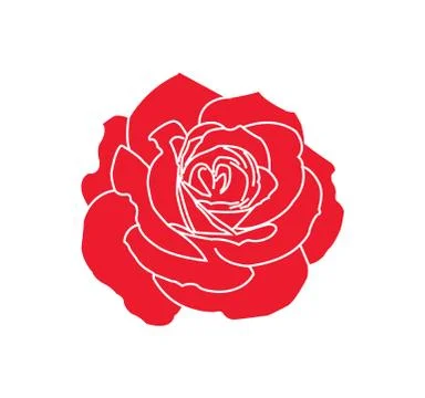 Painted red rose illustration - vector Stock Illustration