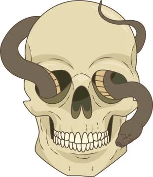 Painted skull Stock Illustration