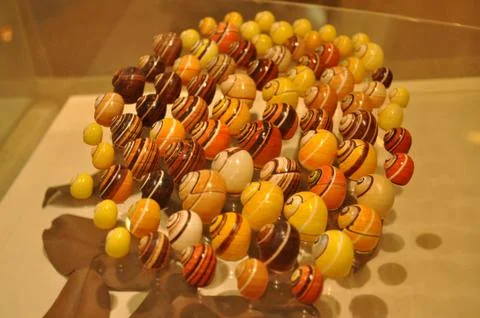 Painted snails Stock Photos