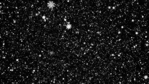 Painted snowflakes fall on a transparent background. Animation background for Stock Footage 255428507