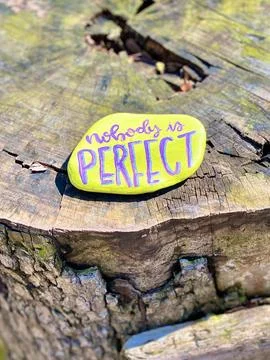 Painted stone with NOBODY IS PERFECT text on a tree stump Stock Photos