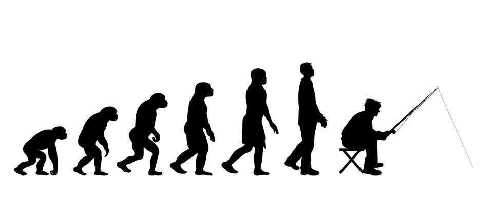 Painted theory of evolution of man. Vector silhouette of homo sapiens. Symbol Stock Illustration