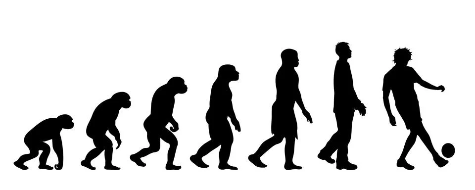 Painted theory of evolution of man. Vector silhouette of homo sapiens. Symbol Stock Illustration