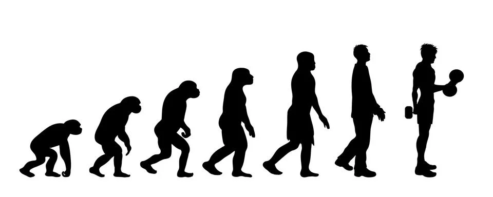 Painted theory of evolution of man. Vector silhouette of homo sapiens. Symbol 스톡 일러스트
