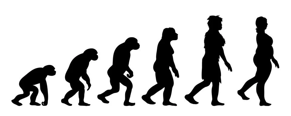 Painted theory of evolution of man. Vector silhouette of homo sapiens. Symbol Stock Illustration
