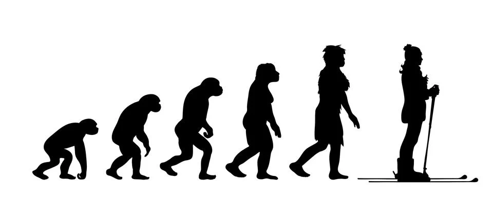 Painted theory of evolution of woman. Vector silhouette of homo sapiens. Symb Stock Illustration