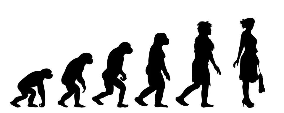Painted theory of evolution of woman. Vector silhouette of homo sapiens. Symb Illustrazione stock