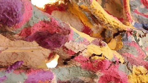 Painted tree 2 Stock Footage 79017985