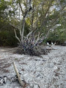 Painted Tree Art Stock Photos