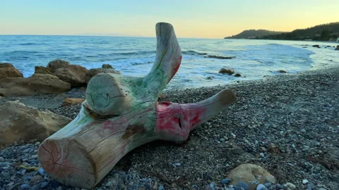 Painted tree log by the sea 스톡 동영상 220606354