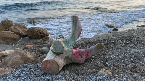 Painted tree log by the sea Stock Footage 220606377