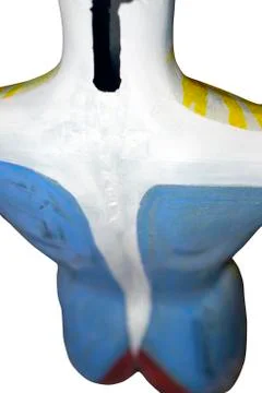 Painted upper back of a mannequin Stock Photos