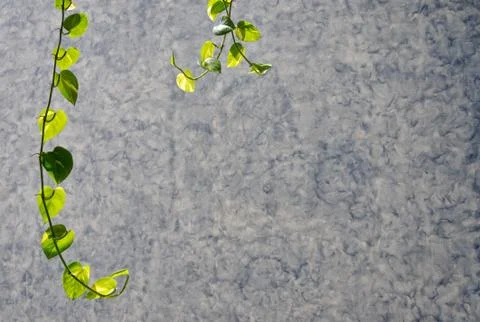 Painted wall Stock Photos