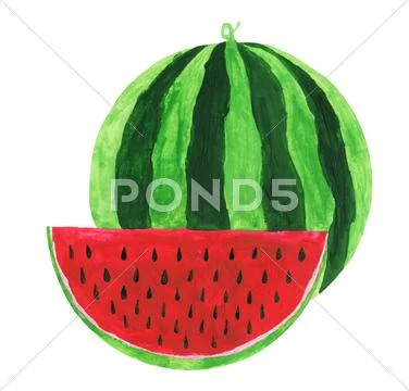 Painted watermelon Stock Illustration