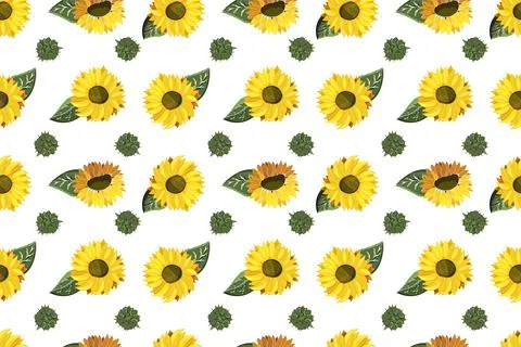 Painted yellow sunflower seamless pattern vector illustration on white Stock Illustration