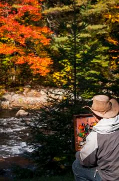 Painter in Algonquin parc Canada Stock Photos