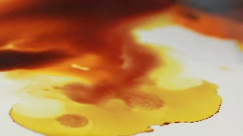 Painter In Art Studio ink and Paint Brushes Stock Footage 71965528