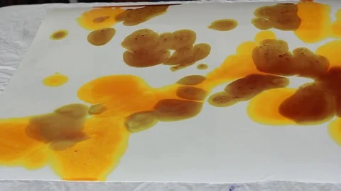 Painter In Art Studio ink and Paint Brushes Video stock 71965728