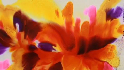 Painter In Art Studio ink and Paint Brushes Stock Footage 71967333