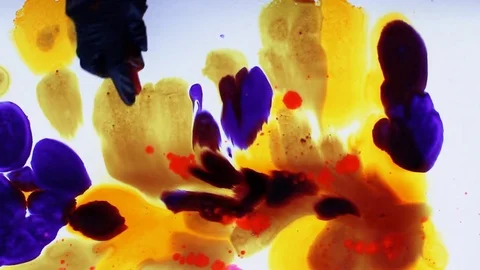 Painter In Art Studio ink and Paint Brushes Stock Footage 71967481