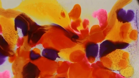 Painter In Art Studio ink and Paint Brushes Stock Footage 71967499