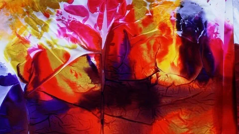 Painter In Art Studio ink and Paint Brushes Stock Footage 71967702