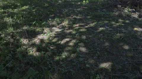 Painter artist posing Video stock 65657675