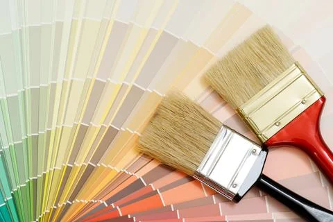 A painter is choosing a paint shade for the interior of the house's walls. .. Stock Photos