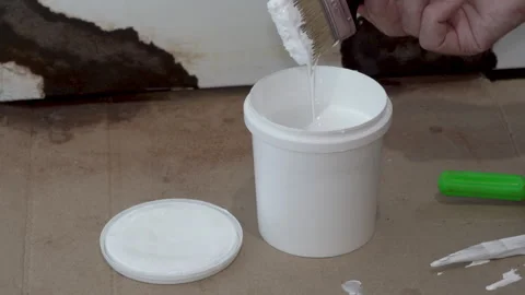 Painter dips brush into white paint Stock Footage 339269803