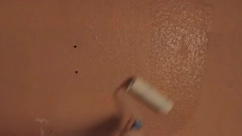 Painter man holds and using paint roller, transparent ground coat being applied Stock Footage 231442887