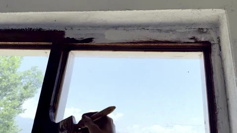 Painter Painting Window and Wall of Newly Constructed House Видео 339530409