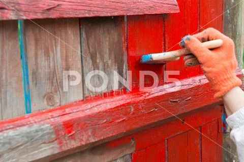 A painter painting wooden fence Stock Photos