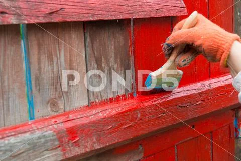 A painter painting wooden fence Stock Photos