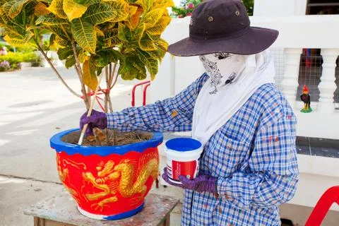 Painter Stock Photos