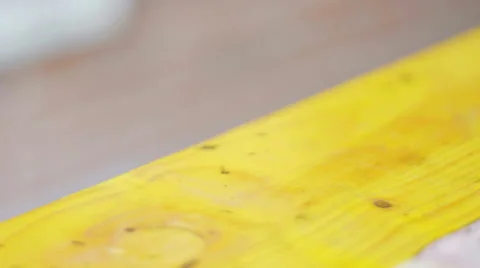 Painter tools detail rack slide Video stock 59235424