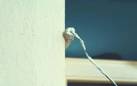 Painter working with paint roller and brushes to paint the room Stock Photos