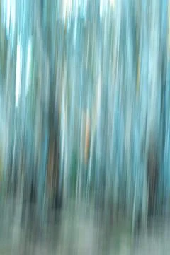 Painterly effect Western Australia bush and forest impressionist image for .. Stock Illustration