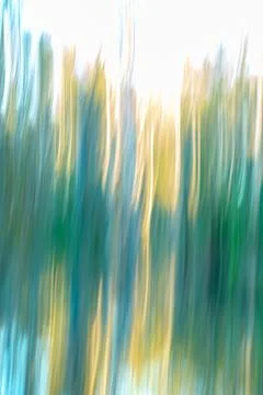 Painterly effect Western Australia bush and forest impressionist image for .. Stock Illustration