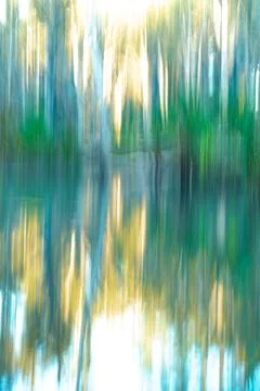 Painterly effect Western Australia bush and forest impressionist image for .. Stock Illustration
