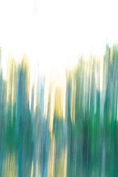 Painterly effect Western Australia bush and forest impressionist image for .. Stock Illustration