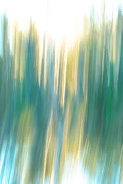 Painterly effect Western Australia bush and forest impressionist image for .. Stock Illustration